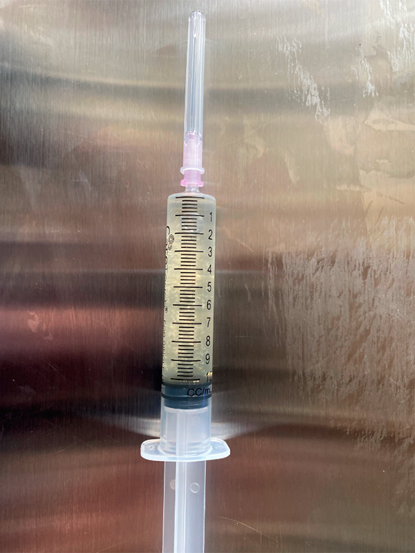 MICELIO LIQUIDO (Golden Teacher) - Imagen 2